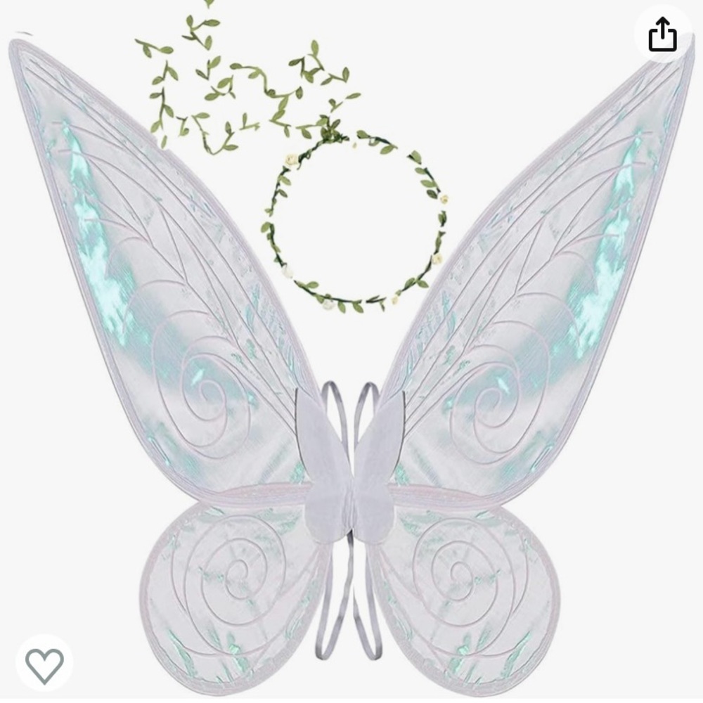 Fairy Wings and Flower Crown.